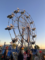 IMG 6213 1698880020 Ferris Wheel