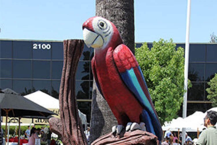 Large Parrot