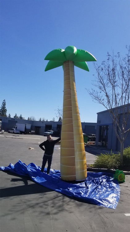 Inflatable Palm Trees