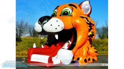 tiger mouth slide lg1 1678828075 Tiger Mouth Slide