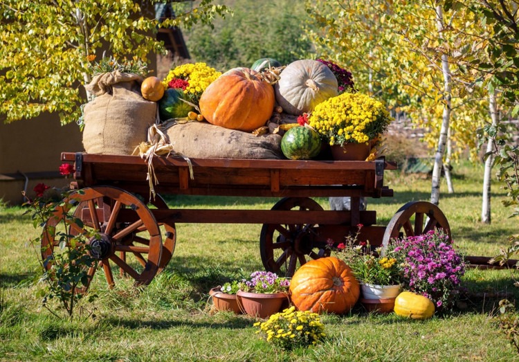 Fall Wagon with fall props