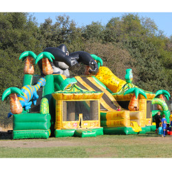 jungle paradise slide 2 1752360255 Jungle Paradise