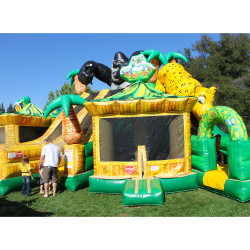 jungle paradise slide 3 1752360255 Jungle Paradise