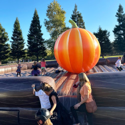 pumpking fall jumper 6 1752613438 World's Largest Fall Jumper 40'x60'