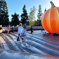 pumpking fall jumper 7 1752613438 World's Largest Fall Jumper 40'x60'