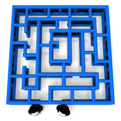 penguin maze 3 1754343548 Penguin Maze 40'x40'