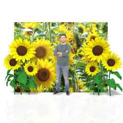 sun flower photo spot 2 1757612340 Sunflower Photo Backdrop 8'x10'