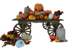 Fall20wagon20cropped20 1761164574 Fall Wagon with fall props