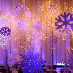 giant snowflakes 1 1760939674 Giant Snowflakes