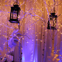 giant snowflakes 2 1760939675 Giant Snowflakes