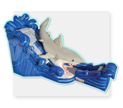 20' GONE FISHN  DRY 20' H x 17' W x 35' L