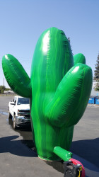 2016 08 172015.03.46 1769180357 Catus Prop Set of 3