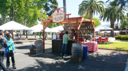 IMG 5225 1769182441 Western Bar Cover 10'x10'