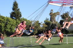 IMG 1662 1784582126 Cyclone Swing -16 seats Fully Staffed