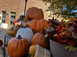 Pumpkin20wagon 1 1784575866 Fall Wagon with fall props 7 ft L x 4 ft W