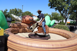 IMG 0032 1786462288 Mechanical Bull -20'W x 25'L x 7'H Fully Staffed